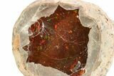 Huge, Ethiopian Chocolate Opal Nodule - Yita Ridge #367223-1